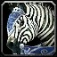 inv_horse3saddle006_stormsong_zebra icon