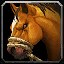inv_horse3saddle008_brown icon
