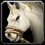 inv_horse3saddle008_pale icon
