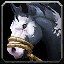 inv_horse3saddle008_piebald icon