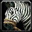 inv_horse3saddle008_zebra icon