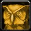 Interact icon