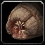 inv_larva2_darkbrown icon