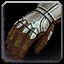 Carrying Gloves icon