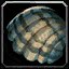Stonelaced Shell icon