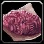 inv_misc_food_meat_raw_01_color01 icon