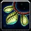 inv_misc_necklace_shell04 icon