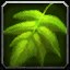 Blossoming Ancient Visual Chooser icon