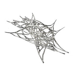 Small Dangling Cobweb