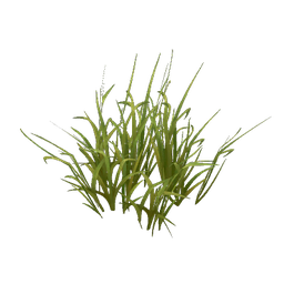 Elwynn Grass Patch