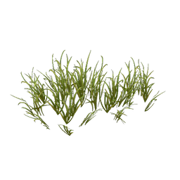 Elwynn Grass Spread