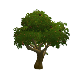 Elwynn Apple Tree