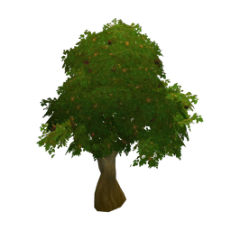 Founder's Point Apple Tree