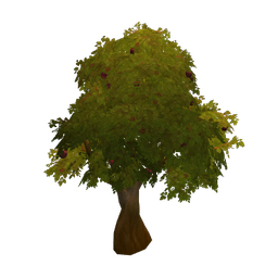 Founder's Point Autumn Apple Tree