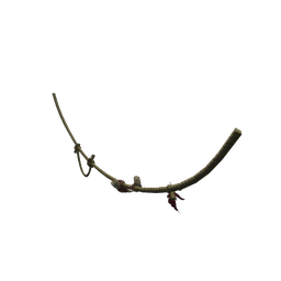 Adorned Hanging Razorwind Ropes