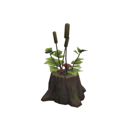 Lush Garden Fungal Planter