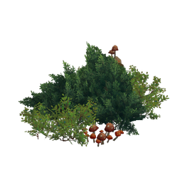 Founder's Point Large Garden Cluster