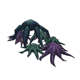 Clumped Asteroidea